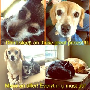 🌸Make an offer!🌸